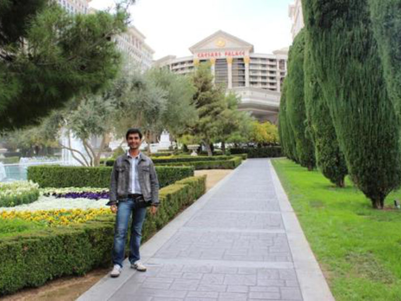 Jardins "desérticos" de Las Vegas